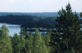 Kråksee