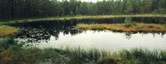 Waldsee Tiveden mit Torfinseln