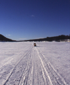 SChneemoped, Skoter, Motorschlitten