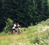 Mountainbiken säfsen dalarna