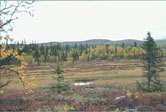 Sarek im Herbst